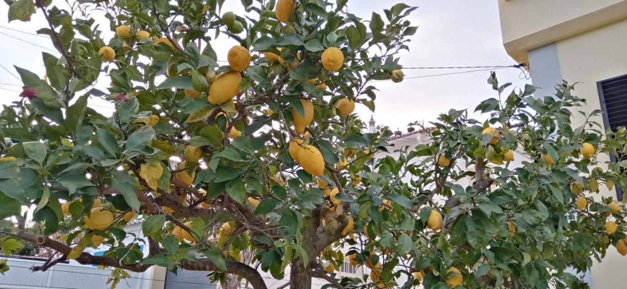 Le Boucanier Tavira Ngoại thất bức ảnh